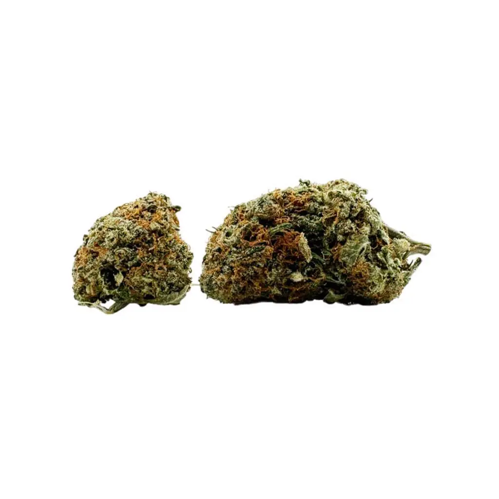 Grand Daddy Purple (AAAA) 3.5gm
